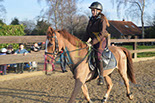 Badyhoeve is een terrein dat tot 3kinderen en hun pony's met de hond Djackson behoort.