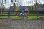 Badyhoeve is een terrein dat tot 3kinderen en hun pony's met de hond Djackson behoort.