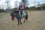 Badyhoeve is een terrein dat tot 3kinderen en hun pony's met de hond Djackson behoort.