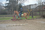 Badyhoeve is een terrein dat tot 3kinderen en hun pony's met de hond Djackson behoort.