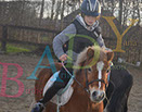Badyhoeve is een terrein dat tot 3kinderen en hun pony's met de hond Djackson behoort.