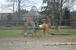 Badyhoeve is een terrein dat tot 3kinderen en hun pony's met de hond Djackson behoort.