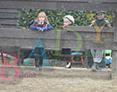 Badyhoeve is een terrein dat tot 3kinderen en hun pony's met de hond Djackson behoort.