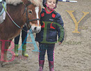 Badyhoeve is een terrein dat tot 3kinderen en hun pony's met de hond Djackson behoort.