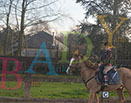 Badyhoeve is een terrein dat tot 3kinderen en hun pony's met de hond Djackson behoort.