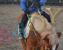 Badyhoeve is een terrein dat tot 3kinderen en hun pony's met de hond Djackson behoort.
