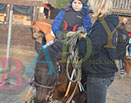 Badyhoeve is een terrein dat tot 3kinderen en hun pony's met de hond Djackson behoort.