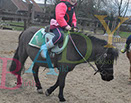 Badyhoeve is een terrein dat tot 3kinderen en hun pony's met de hond Djackson behoort.