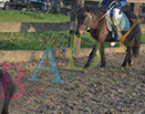 Badyhoeve is een terrein dat tot 3kinderen en hun pony's met de hond Djackson behoort.