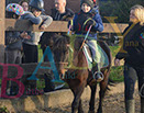 Badyhoeve is een terrein dat tot 3kinderen en hun pony's met de hond Djackson behoort.