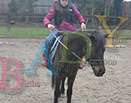 Badyhoeve is een terrein dat tot 3kinderen en hun pony's met de hond Djackson behoort.