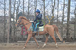 Badyhoeve is een terrein dat tot 3kinderen en hun pony's met de hond Djackson behoort.