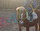 Badyhoeve is een terrein dat tot 3kinderen en hun pony's met de hond Djackson behoort.