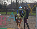 Badyhoeve is een terrein dat tot 3kinderen en hun pony's met de hond Djackson behoort.