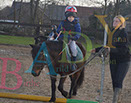 Badyhoeve is een terrein dat tot 3kinderen en hun pony's met de hond Djackson behoort.