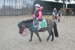Badyhoeve is een terrein dat tot 3kinderen en hun pony's met de hond Djackson behoort.
