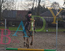Badyhoeve is een terrein dat tot 3kinderen en hun pony's met de hond Djackson behoort.