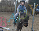 Badyhoeve is een terrein dat tot 3kinderen en hun pony's met de hond Djackson behoort.