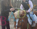 Badyhoeve is een terrein dat tot 3kinderen en hun pony's met de hond Djackson behoort.