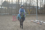 Badyhoeve is een terrein dat tot 3kinderen en hun pony's met de hond Djackson behoort.