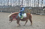 Badyhoeve is een terrein dat tot 3kinderen en hun pony's met de hond Djackson behoort.