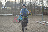 Badyhoeve is een terrein dat tot 3kinderen en hun pony's met de hond Djackson behoort.