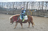 Badyhoeve is een terrein dat tot 3kinderen en hun pony's met de hond Djackson behoort.