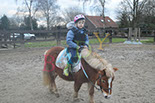 Badyhoeve is een terrein dat tot 3kinderen en hun pony's met de hond Djackson behoort.