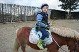 Badyhoeve is een terrein dat tot 3kinderen en hun pony's met de hond Djackson behoort.