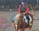 Badyhoeve is een terrein dat tot 3kinderen en hun pony's met de hond Djackson behoort.