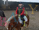 Badyhoeve is een terrein dat tot 3kinderen en hun pony's met de hond Djackson behoort.
