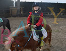 Badyhoeve is een terrein dat tot 3kinderen en hun pony's met de hond Djackson behoort.