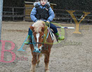 Badyhoeve is een terrein dat tot 3kinderen en hun pony's met de hond Djackson behoort.