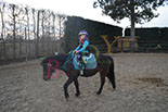 Badyhoeve is een terrein dat tot 3kinderen en hun pony's met de hond Djackson behoort.
