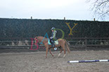Badyhoeve is een terrein dat tot 3kinderen en hun pony's met de hond Djackson behoort.