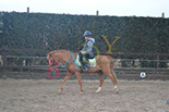 Badyhoeve is een terrein dat tot 3kinderen en hun pony's met de hond Djackson behoort.