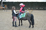 Badyhoeve is een terrein dat tot 3kinderen en hun pony's met de hond Djackson behoort.