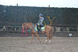 Badyhoeve is een terrein dat tot 3kinderen en hun pony's met de hond Djackson behoort.