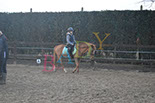 Badyhoeve is een terrein dat tot 3kinderen en hun pony's met de hond Djackson behoort.