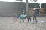 Badyhoeve is een terrein dat tot 3kinderen en hun pony's met de hond Djackson behoort.