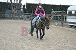 Badyhoeve is een terrein dat tot 3kinderen en hun pony's met de hond Djackson behoort.