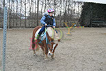 Badyhoeve is een terrein dat tot 3kinderen en hun pony's met de hond Djackson behoort.