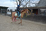 Badyhoeve is een terrein dat tot 3kinderen en hun pony's met de hond Djackson behoort.