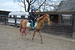 Badyhoeve is een terrein dat tot 3kinderen en hun pony's met de hond Djackson behoort.