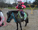 Badyhoeve is een terrein dat tot 3kinderen en hun pony's met de hond Djackson behoort.