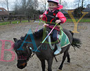 Badyhoeve is een terrein dat tot 3kinderen en hun pony's met de hond Djackson behoort.