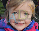 Badyhoeve is een terrein dat tot 3kinderen en hun pony's met de hond Djackson behoort.