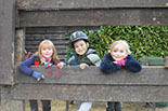 Badyhoeve is een terrein dat tot 3kinderen en hun pony's met de hond Djackson behoort.