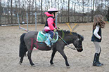Badyhoeve is een terrein dat tot 3kinderen en hun pony's met de hond Djackson behoort.