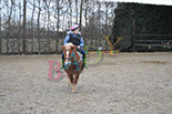 Badyhoeve is een terrein dat tot 3kinderen en hun pony's met de hond Djackson behoort.